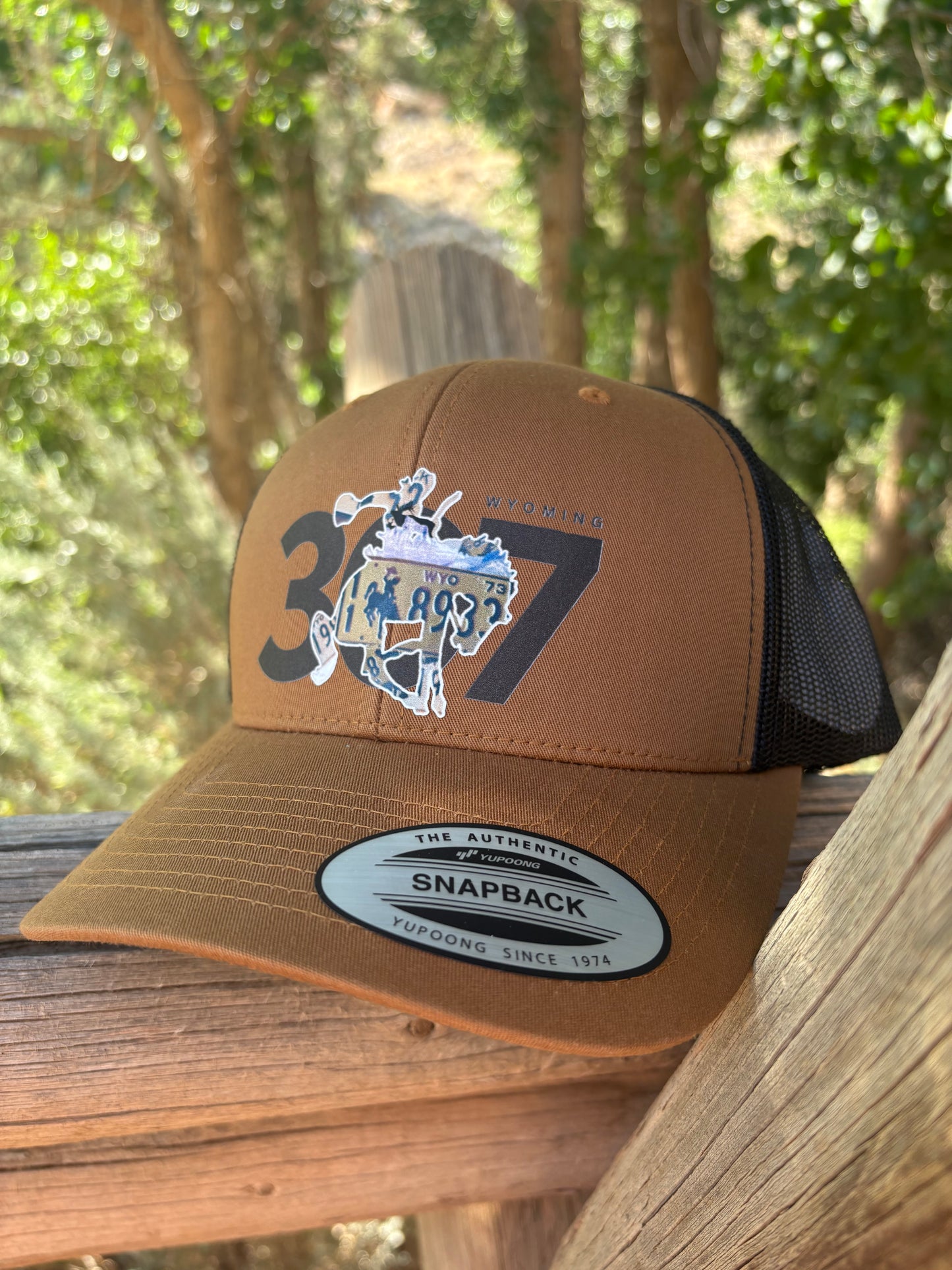 307 License Plate Baseball Cap