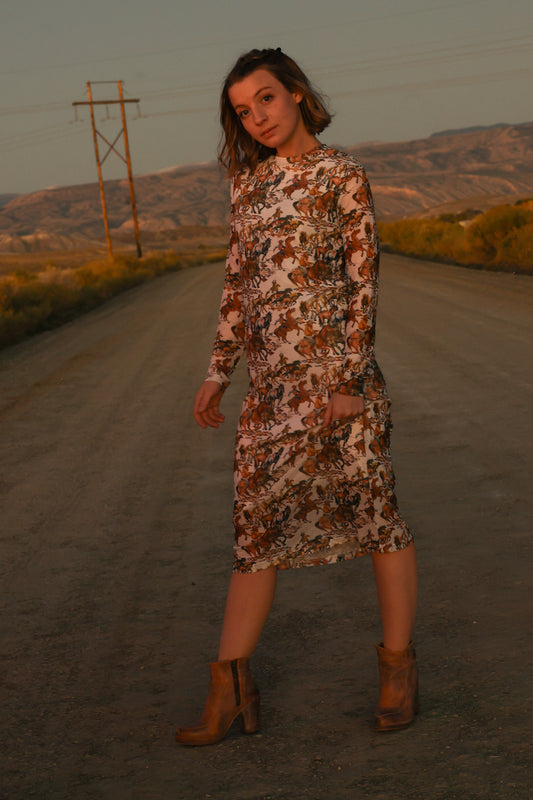 Buckaroo Mesh Sheath Dress