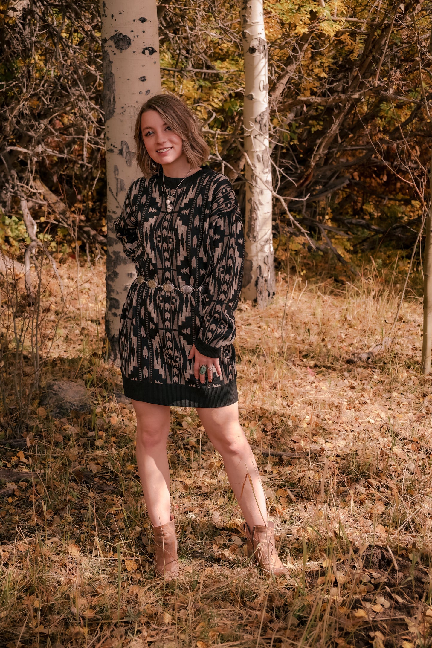 Montana Aztec Dress