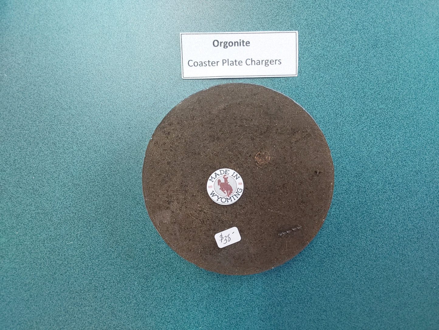 Lake Day Orgonite Coaster